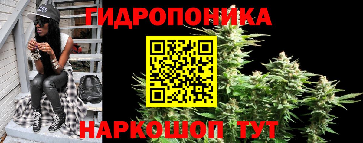 Брянск  Шишки марихуана OG Kush  Вход с VPN  Каннабис сатива  Бошки Шишки ГИДРОПОН 